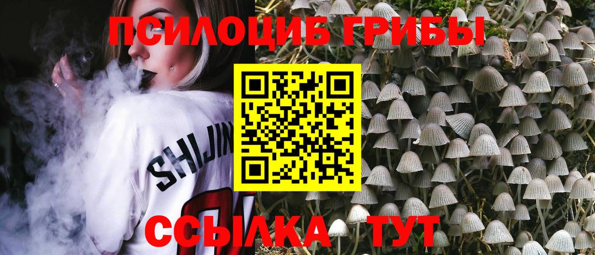 Галлюциногенные грибы MAGIC MUSHROOMS  Галлюциногенные грибы GOLDEN TEACHER  Вход с VPN  Сердобск 
