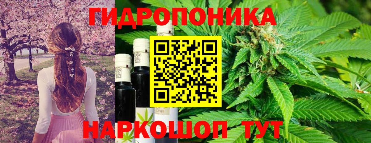 Шишки марихуана планчик Сердобск